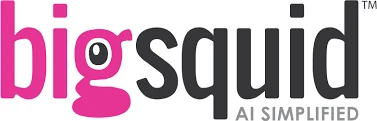 Big Squid logo