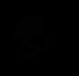 Skullcandy logo
